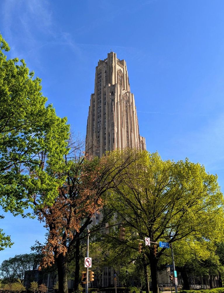 Blue blue sky with the thinnest wisp of white cloud and "Cathy" towering over green trees that are in the foreground