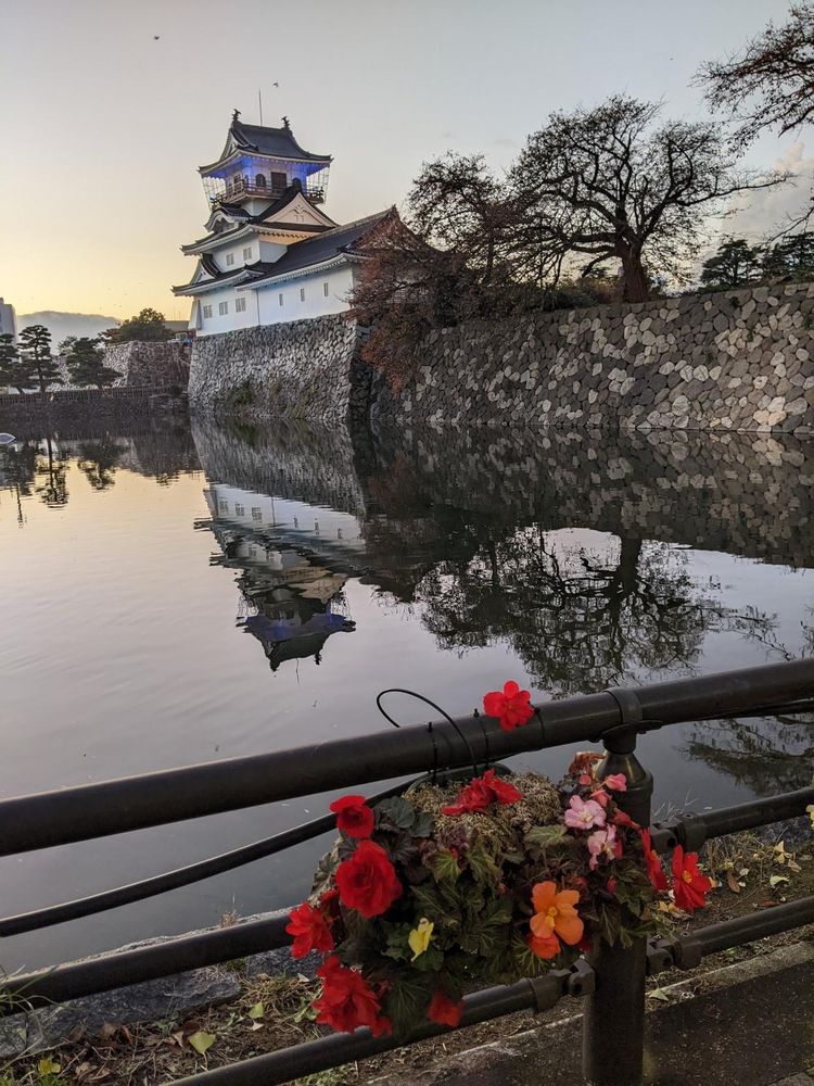 Toyama castle with still water in front reflecting the castle. A bunch of flowers including red roses tied on the metal tube fence at the bottom of frame