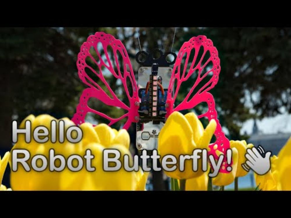 Hello Robot Butterfly!