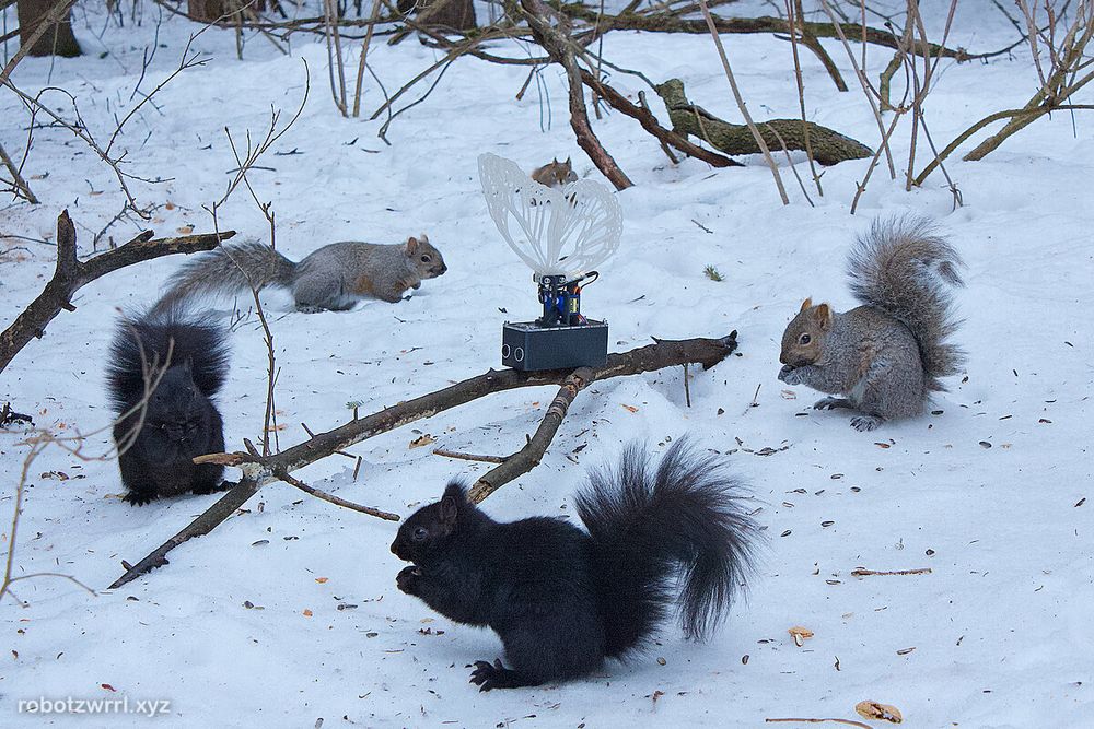Robot Butterfly perched on a branch in the snow, surrounded by squirrels eating breakfast seeds