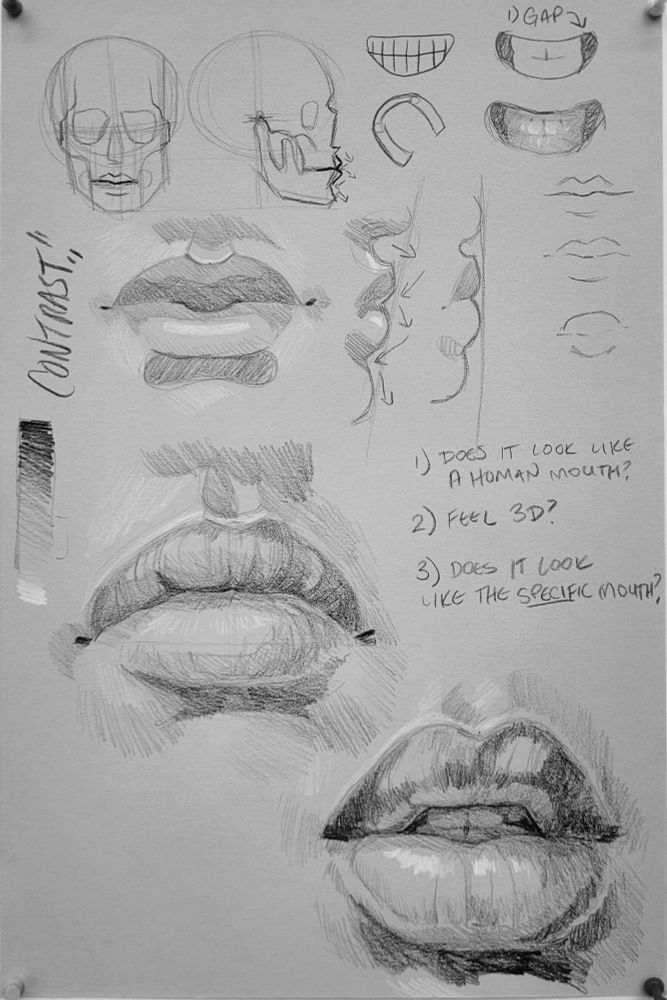 A large sheet of grey paper with several drawings of mouths and mouth anatomy rendered in black and white color pencil.