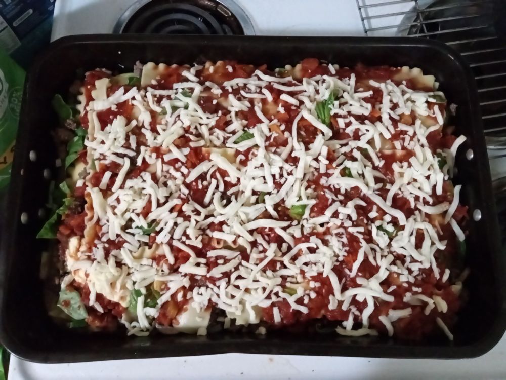 A huge pan of meat/cheese/veggie lasagna fills my turkey roaster. Veggies are zucchini and basil.