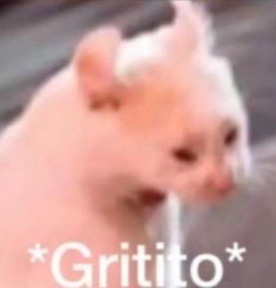 Meme gato branco com boca aberta e legenda *grito*
