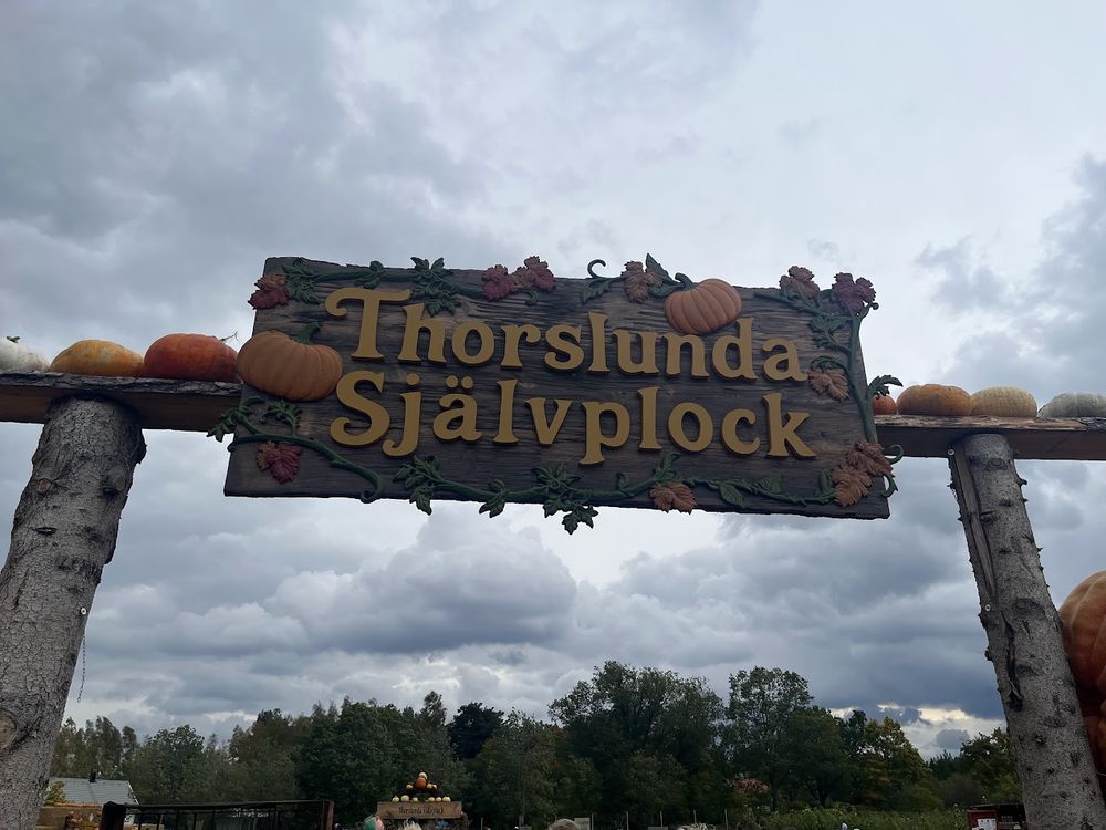 a sign that reads Thorslunda Självplock, surrounded by pumpkins