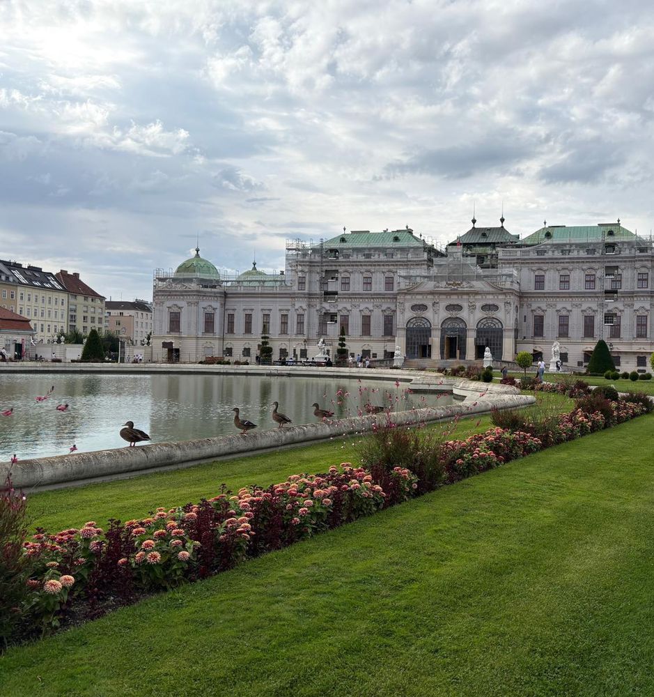 ducks standing in a row at the Belvedere palace, Vienna