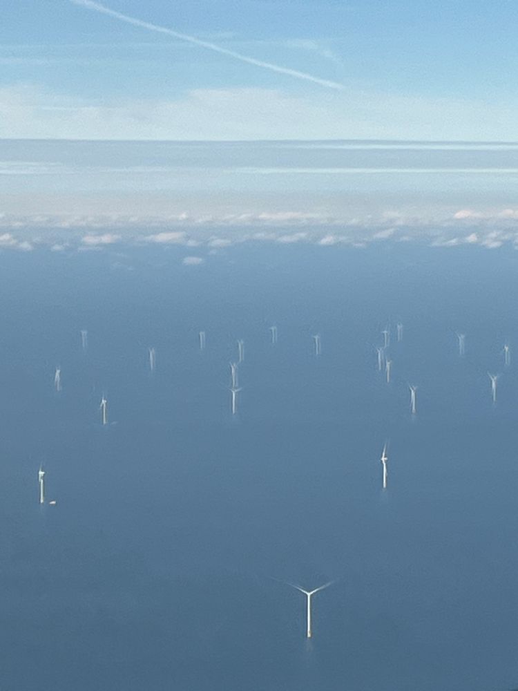 Blue ocean with dozens of white wind turbines.