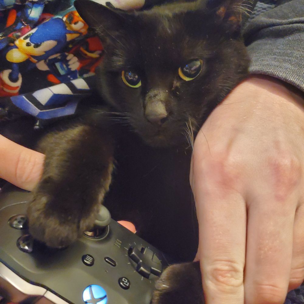 Maniacal mentally deranged cat named rugalian Genji Smith and has seen treacherous events and he is destroying dark souls 2 right now gaming on a Xbox controller so hard he's going crazed