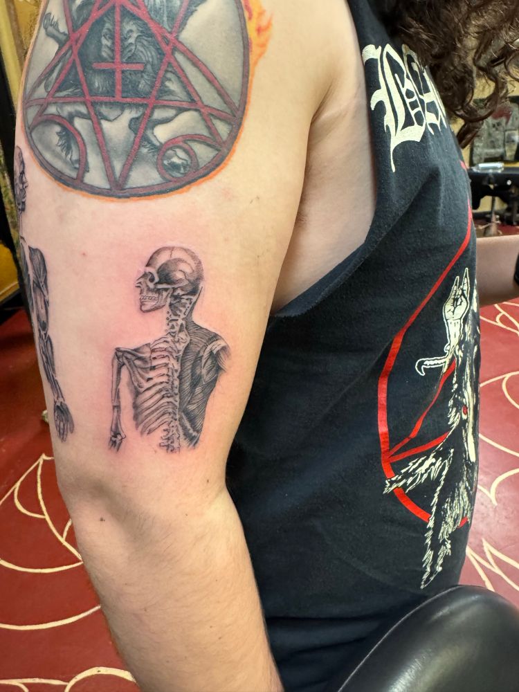 Tattoo of Medical illustration of a man’s upper body. Muscles, skull, and ribcage are visable. Tattoo is on the upper arm. 
