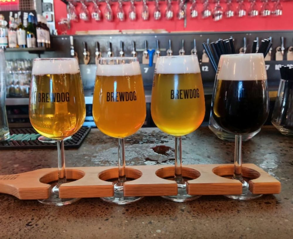 craft draft pt tasting tray
