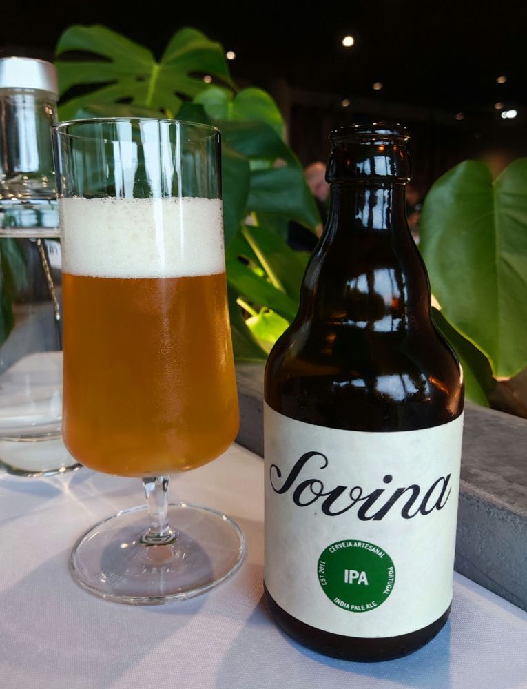 craft draft pt beer sovina