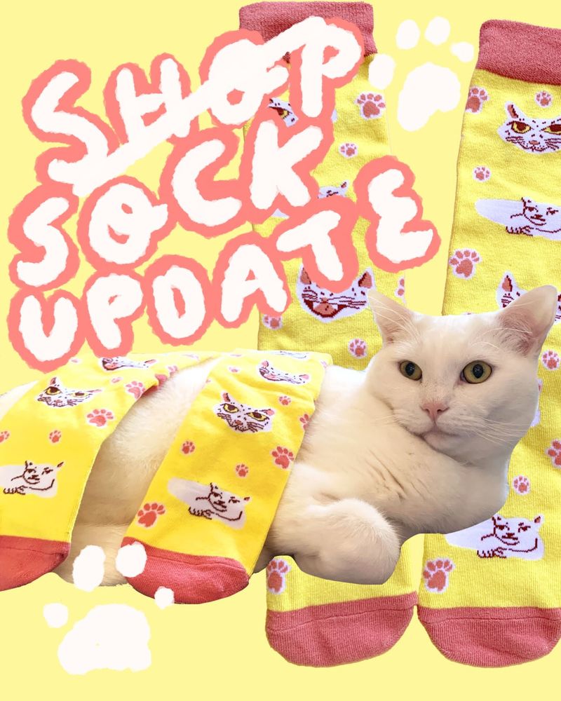 Image of a cute white cat with socks that have a print of his likeness all over them. There is text which reads “ sock (crossed out) shop update”