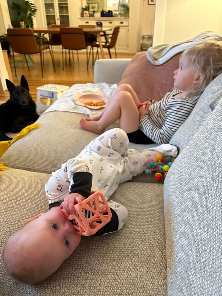 My little one chewing on a toy, 3 year old watching tv, dog watching her 