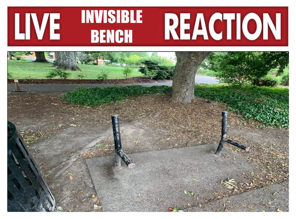 The remnants of a bench (presumably in New York) being used in a “live reaction” meme where it is interpreted as being invisible.