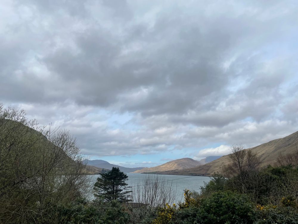Picture of Killary Fjord in Connemara Co. Galway Ireland. Fjord is surrounded by rolling mountains, some blue sky, trees and gorse bush