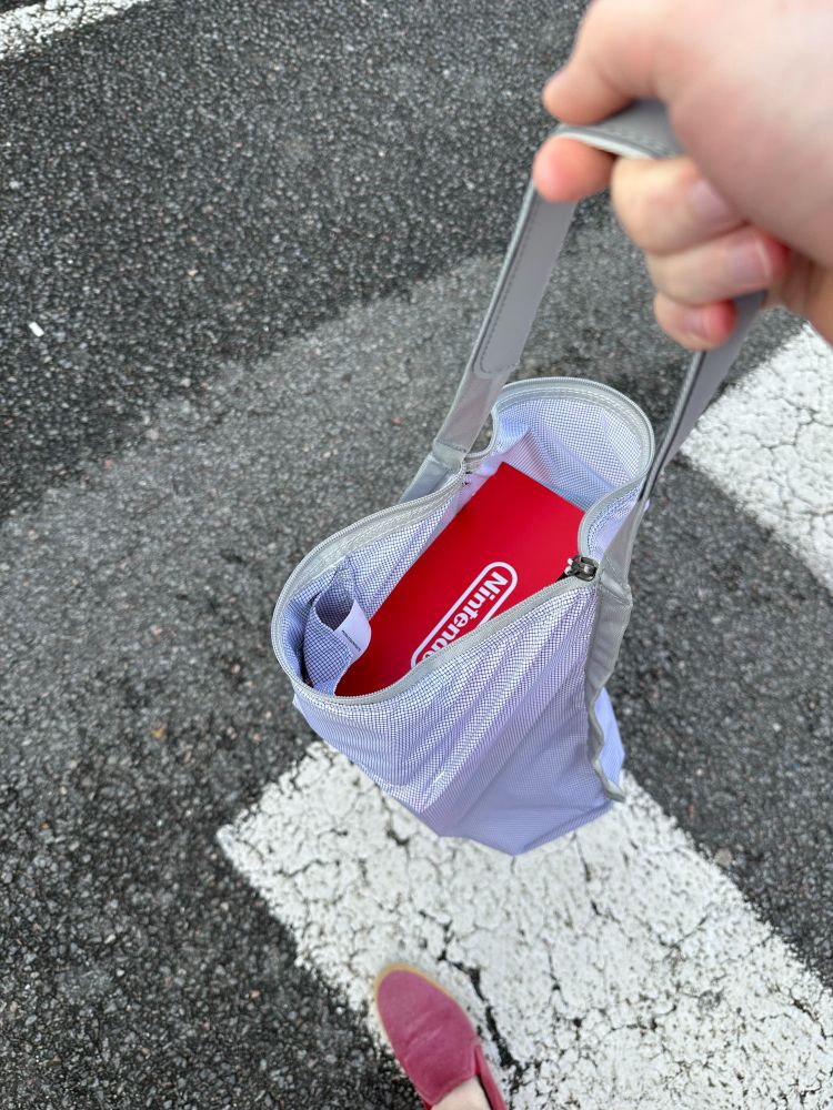 my hand holding "grocery bag" with the red Nintendo box inside