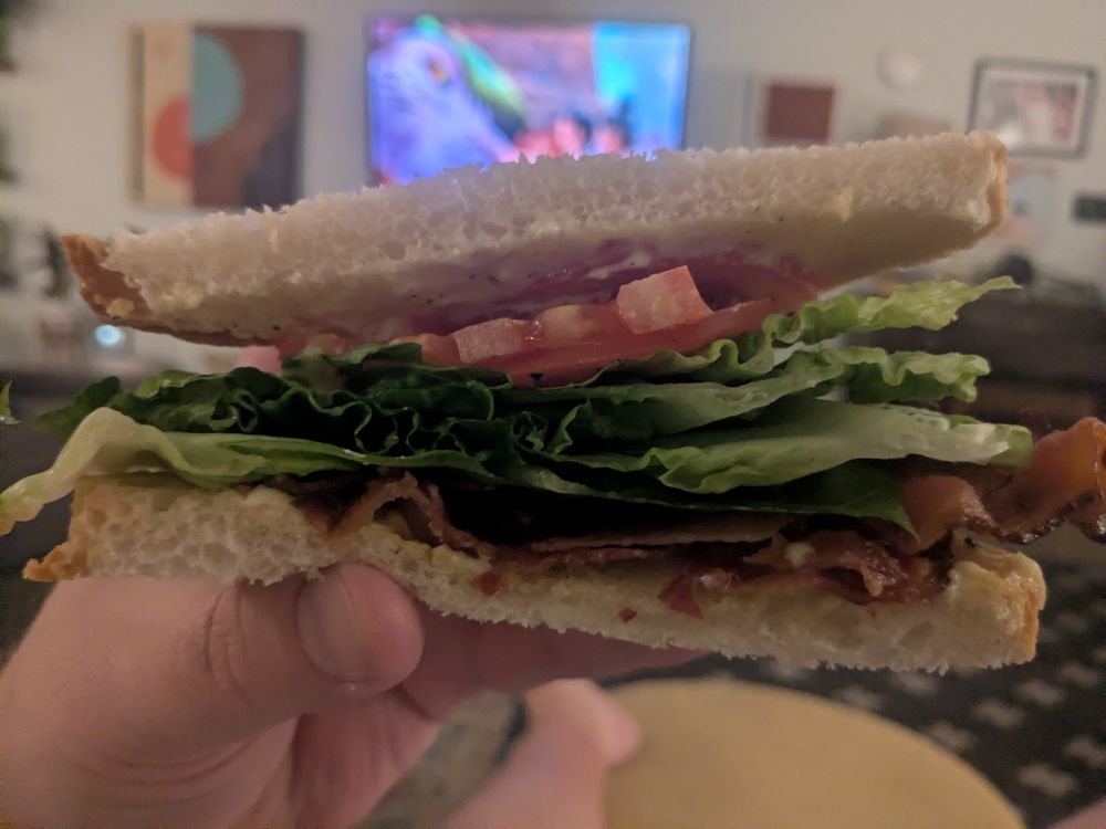white bread
mayo (barely pictured)
red tomato
green lettuce
brown bacon
mayo (barely pictured)
white bread
