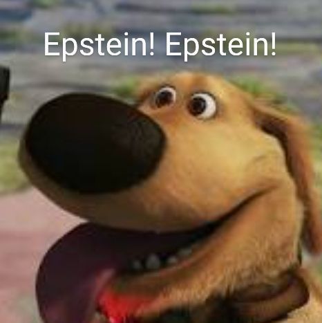 a dog is overexcited about Epstein