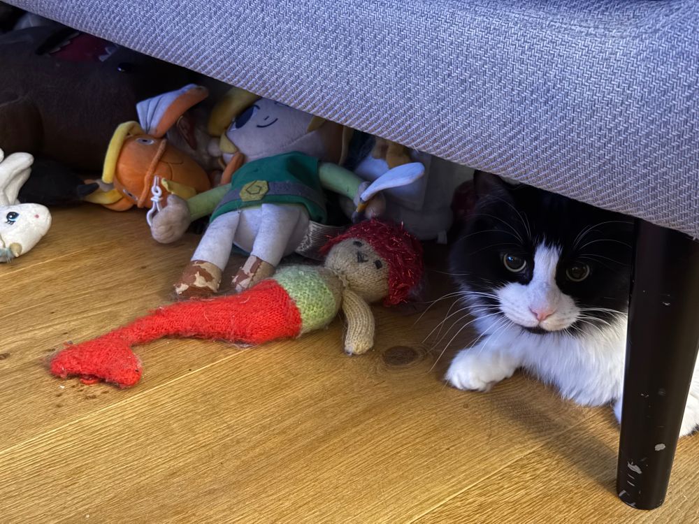 A photograph of a stash of plushies under a sofa, with one plushie that looks exactly like a long haired black-and-white cat. Or maybe it IS the long haired black-and-white cat? Spoiler alert: it definitely is.
