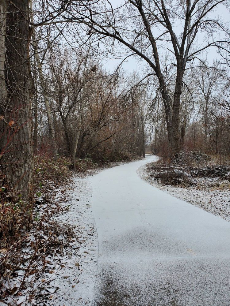 A snowy walking path with barren trees
