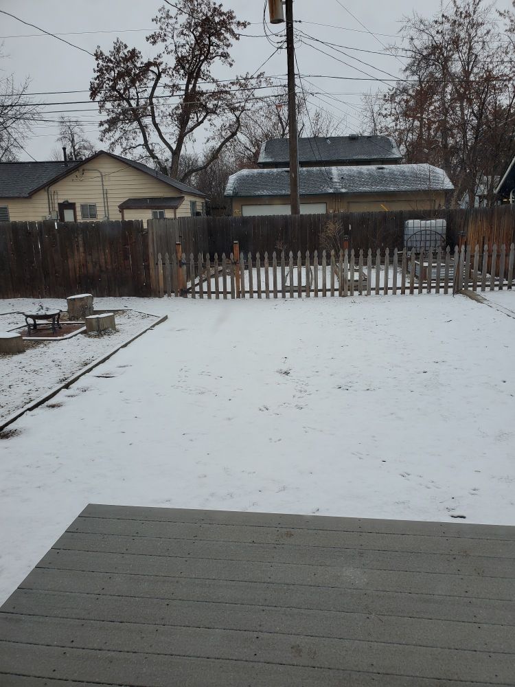 Snowy backyard