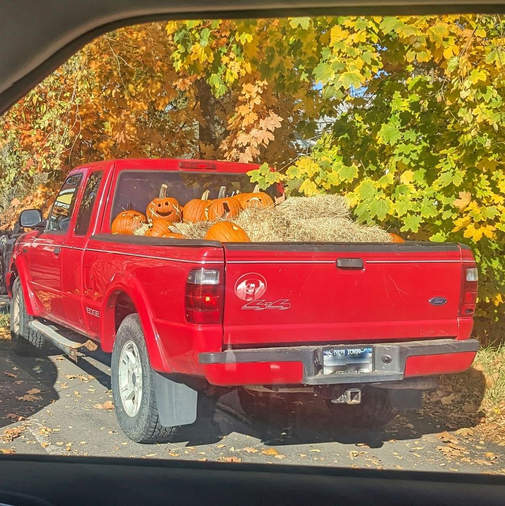 Jack o'lanterns and hay in the back of a red pickup truck on a sunny late fall day.