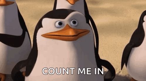 a group of penguins from madagascar are standing next to each other on a beach .