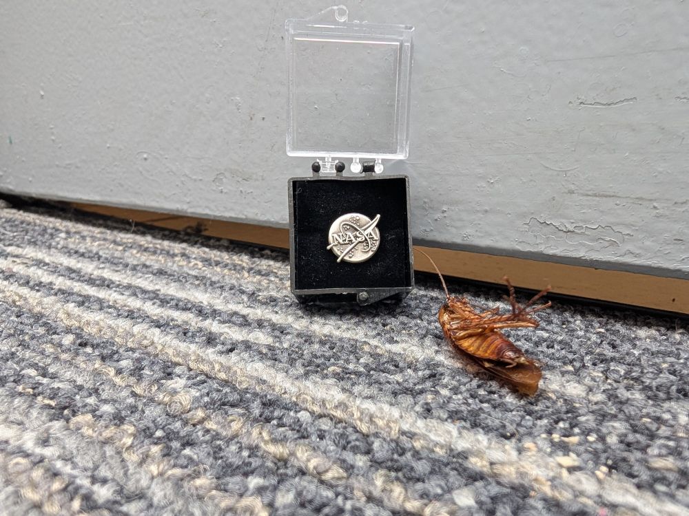 Dead Henry the cockroach and his 10 year employment medal. 