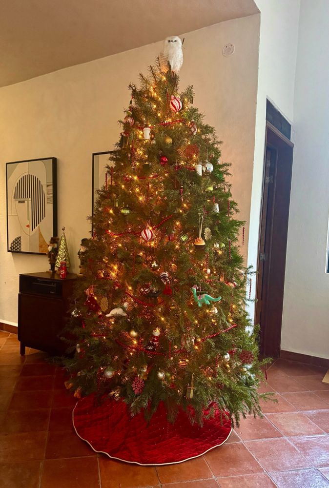 Picture of decorated Douglas fir tree with a red velvet tree skirt next to record console. 