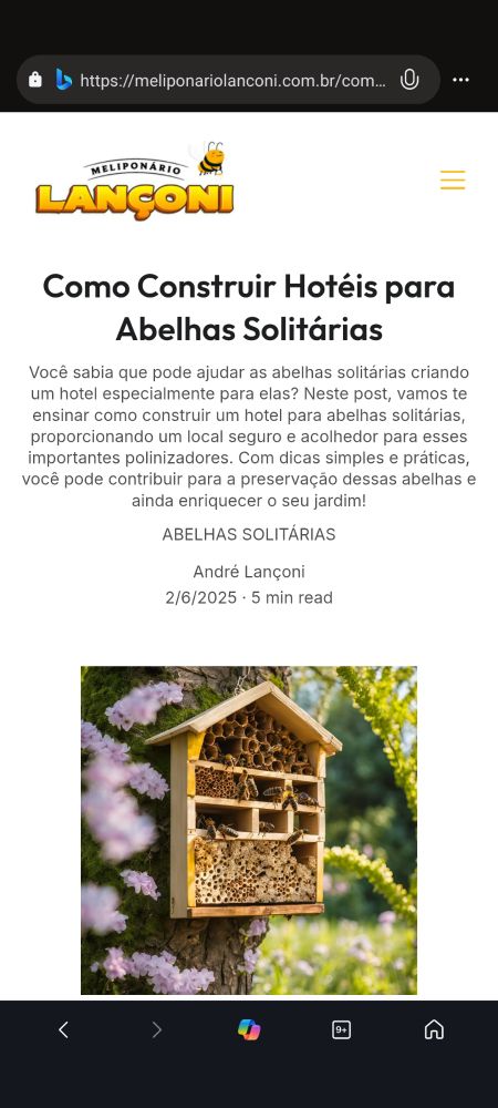 Print do site Meliponario Lançoni com a manchete "Como construir hotéis para abelhas solitárias". 