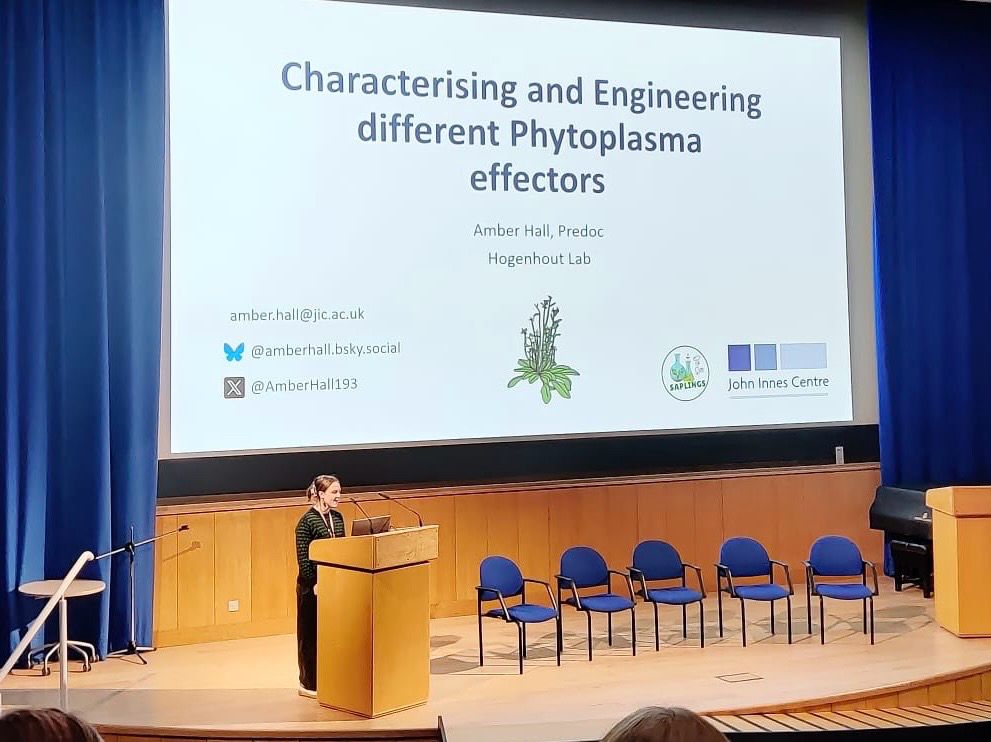 Me standing at a lectern on a stage giving a talk on characterising and engineering different phytoplasma effectors 