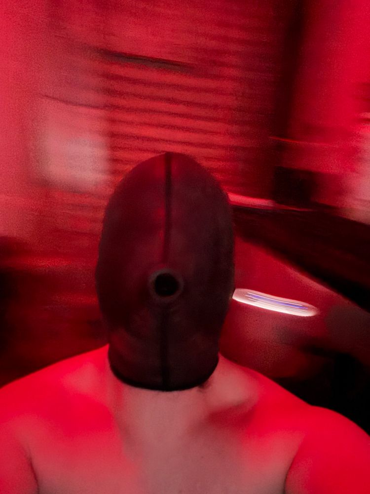 617 with a neoprene anesthesia hood over its face, moving the camera around its head unintentionally because it didn’t know if it took a picture or not. 