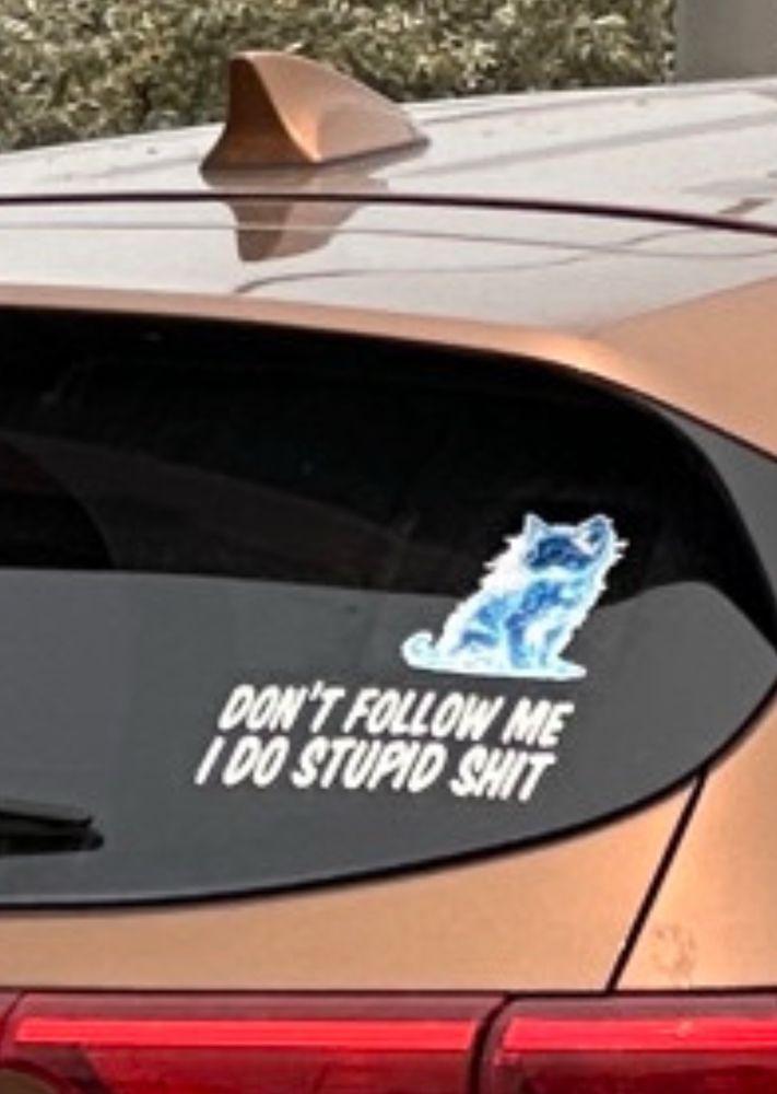 closeup of pussman car’s back window, blue kitten decal above a decal with text “Don’t follow me, i do stupid shit”