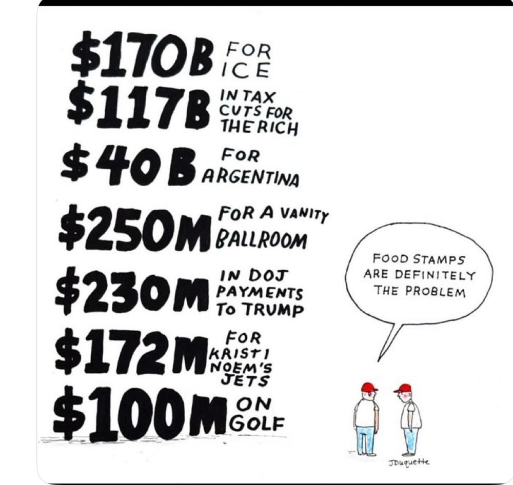 List of expenditures for ICE, tax cuts for the rich, Argentina, ballroom, DOJ, Noem’s jets , golf. 
Cartoon saying “food stamps are definitely the problem.” 