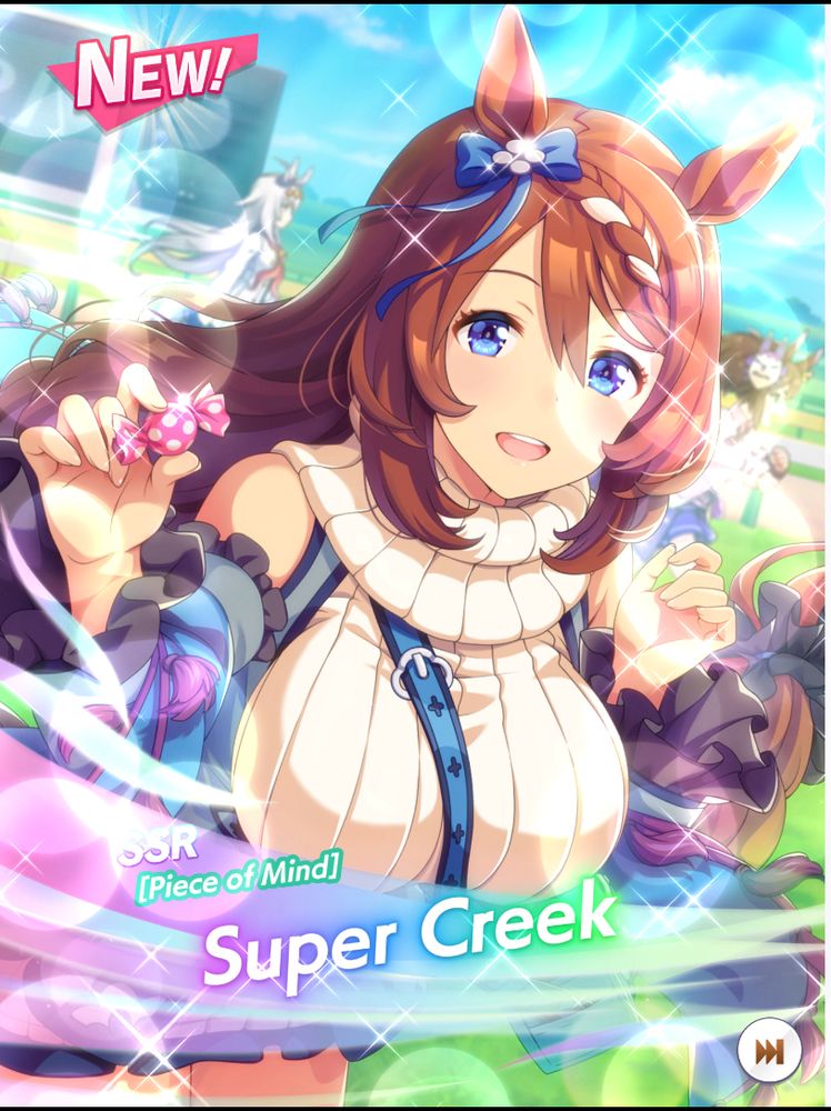 I got Super Creek SSR 