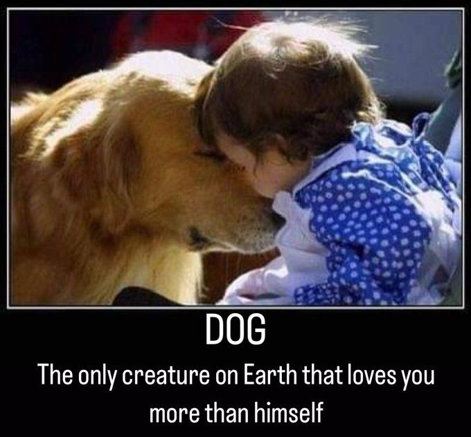 A closeup of a little girl in blue and white polka dots, pressing her forehead against the forehead of a golden retriever with his eyes closed.  The caption reads:  "DOG The only creature on Earth that loves you more than himself" 