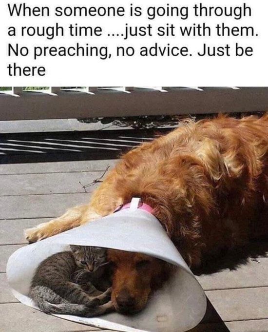 A golden retriever is laying on a deck, with a cone around his head. A gray and white kitty has climbed inside the cone to snuggle up against the dog's face. The text reads:  "When someone is going through a rough time....just sit with them.  No preaching, no advice.  Just be there"