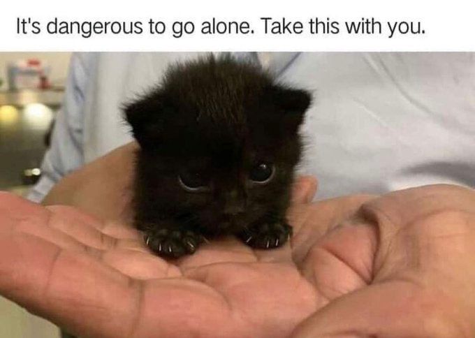 An adorable tiny black kitten is in a man's hand.  The text reads "It's dangerous to go alone. Take this with you."