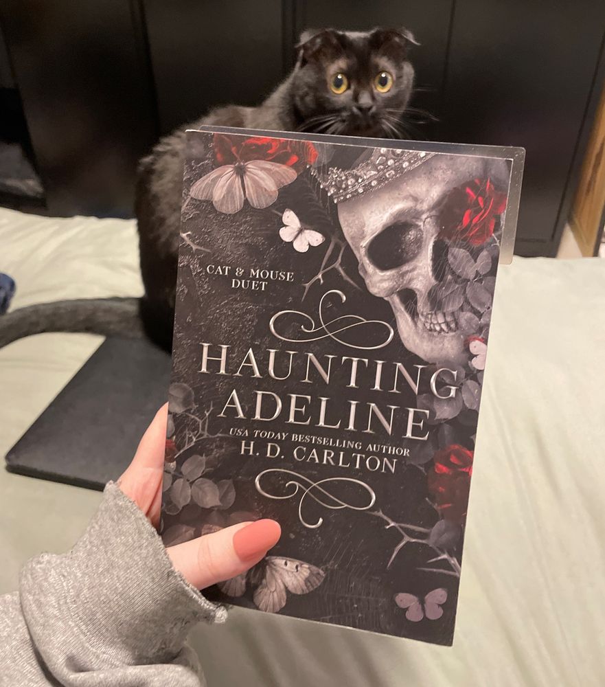 Image of the book Haunting Adeline 

