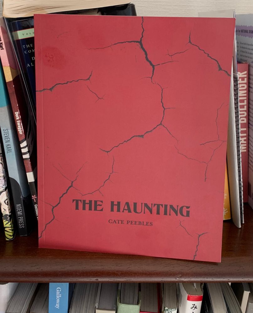 Picture of Cate Peebles new poetry book, The Haunting.