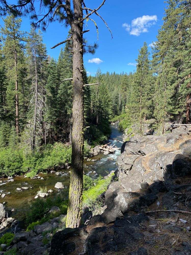 North fork Feather River and ledge of basalt