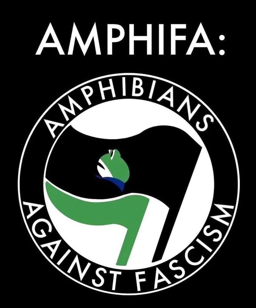 Heading a m p h I f a stands for amphibians against fascism which is in a border circle. Inside the circle is a green flag and a black flag. The black flag has an image of a frog head
