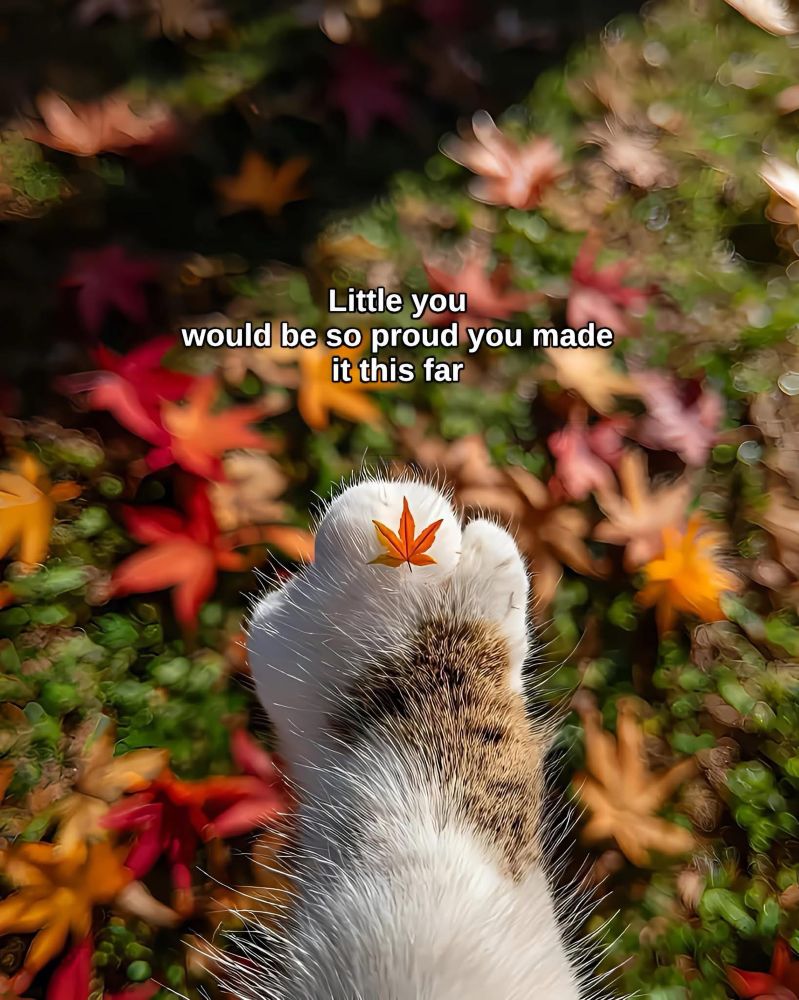 A white/tabby cat paw with a small leaf on it, in the unfocused background there is green grass and fallen leaves (golden, yellow, brown, deep red) and there is a shadow of a pole in the distance. There is a caption that says 
“little you would be so proud you made it this far”
