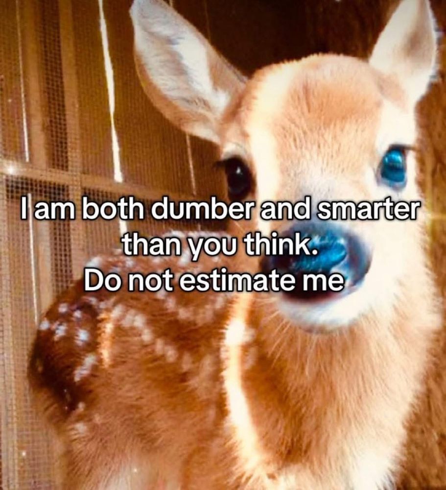 A photo of a cute lil baby fawn with a caption stamped across the photo-it says “I am both dumber and smarter thank you think. Do not estimate me”