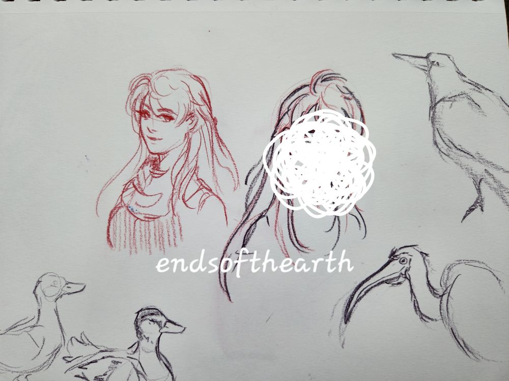 Sketchbook doodles of Micaiah from Fire Emblem Radiant Dawn and various birds