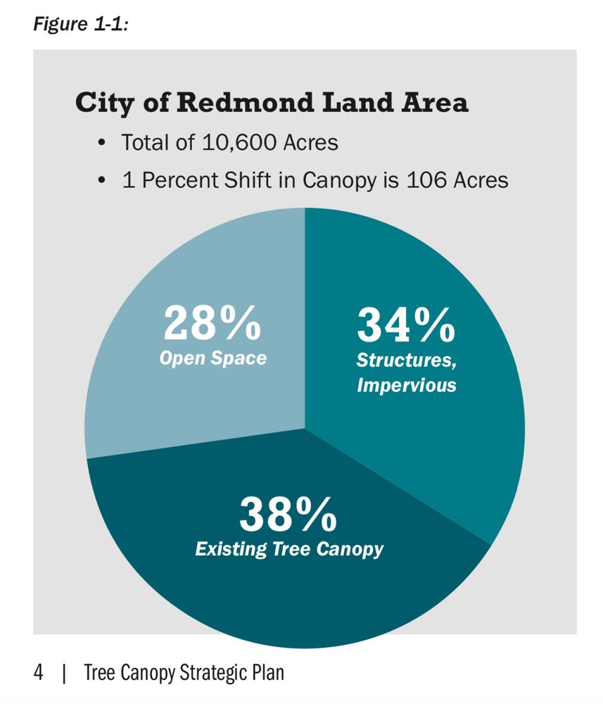 Redmond's tree canopy strategic plan approximated 38% of city land to be forested by tree canopy, while 34% covered by structures and impervious surfaces like pavement. 