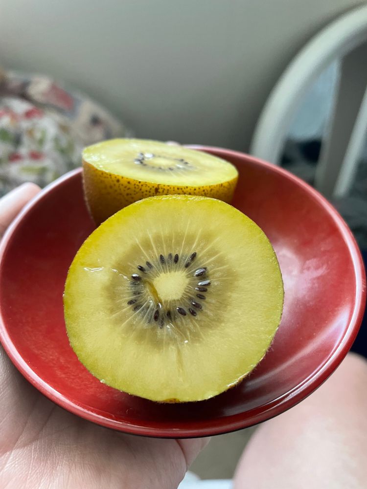 my kiwi. bite marks in it 