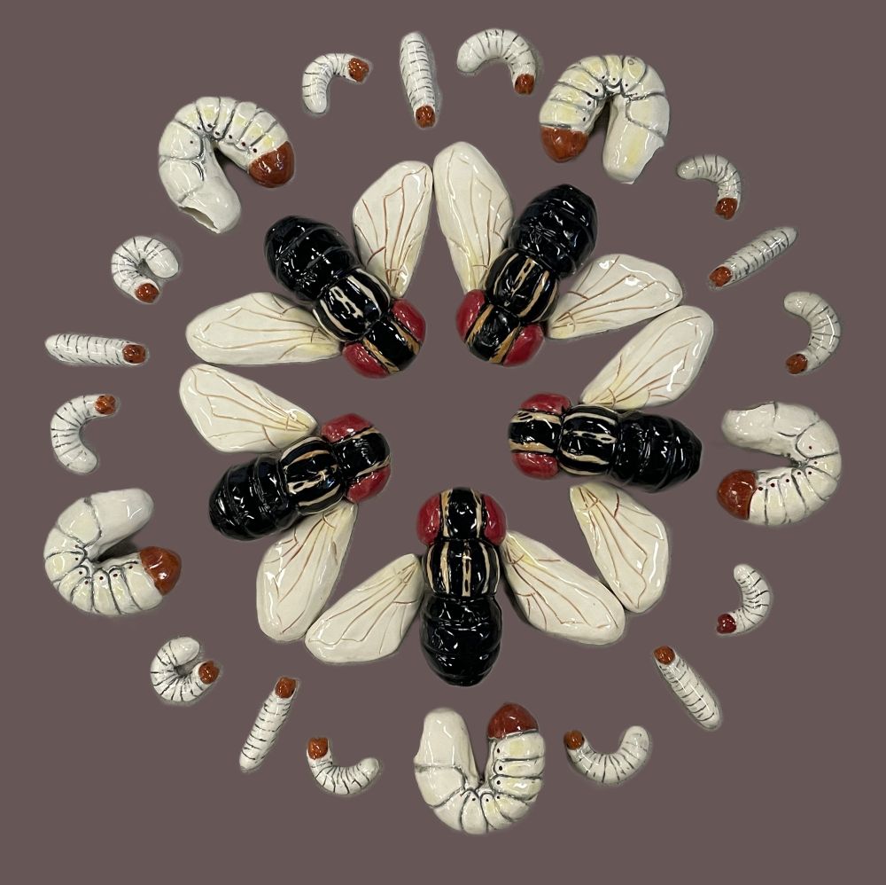 a bunch of ceramic flies arranged in a circle, surrounded by grubs of varying sizes. The wings of the flies make a star shape in the middle. The background has been edited out and replaced with a plain greyish color. 
