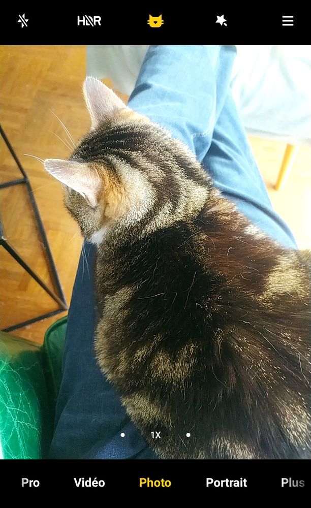 Capture d'écran de l'appareil photo de mon téléphone. Celui-ci a détecté automatiquement qu'un chat était le sujet central de la photo (celui ci est assis sur mes genoux) et s'est mis en mode "chat" (j'ai pas trop vu ce que ça change, peut-être une meilleure mise en valeur de ses poils).