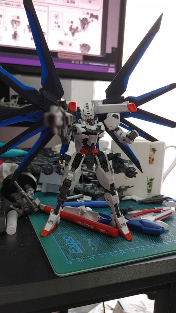 My current custom gundam: Calibarn main frame with Rising Freedom wings, various Aerial parts, Bit-on rifle and a few miniguns for good measure