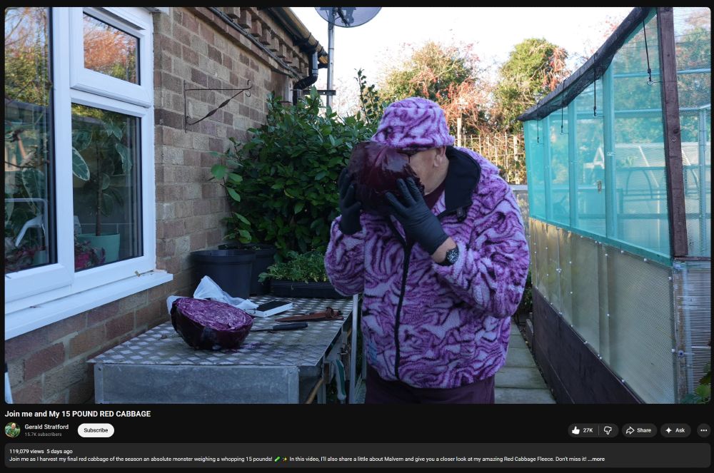 An older man sniffing a freshly harvested massive red cabbage, dressed head-to-toe in purple clothing that matches the cabbage's pattern.